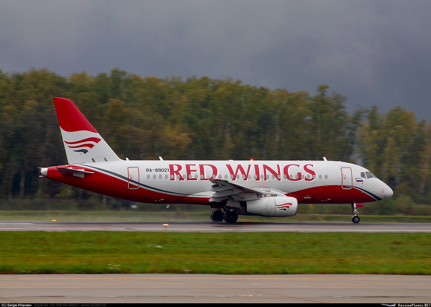 Red wings steam фото 112