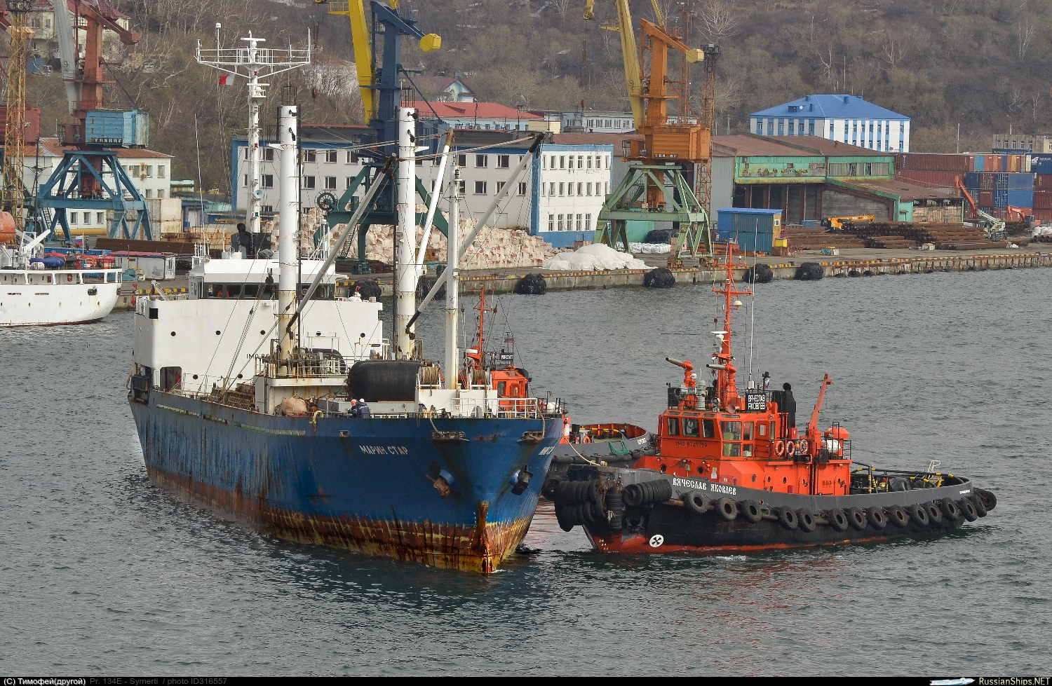 Морской траст. Рейдовые буксиры пр 737. Морской Траст Владивосток.